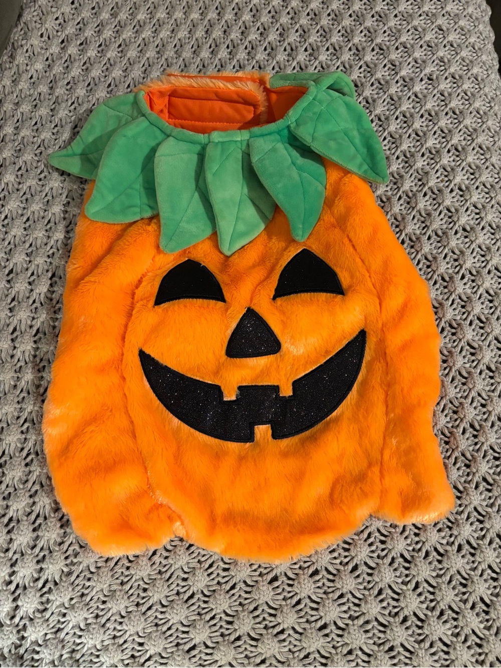 Pumpkin Dog Halloween Costume 🎃
